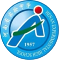 河南实验汉森U13队标
